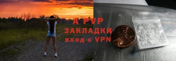 индика Аркадак