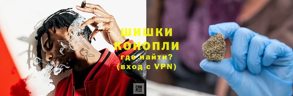 индика Аркадак
