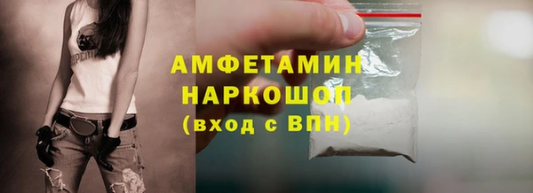 индика Аркадак