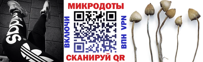 Галлюциногенные грибы Psilocybe  Слюдянка 