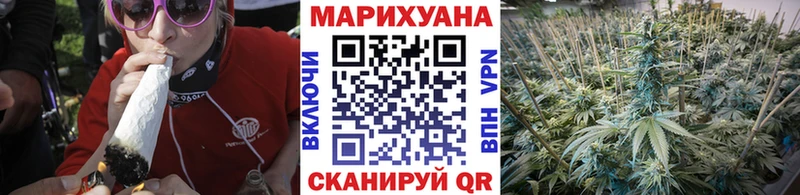 Конопля индика Слюдянка